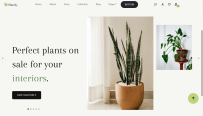 室内盆栽装饰网站模板 Bootstrap5